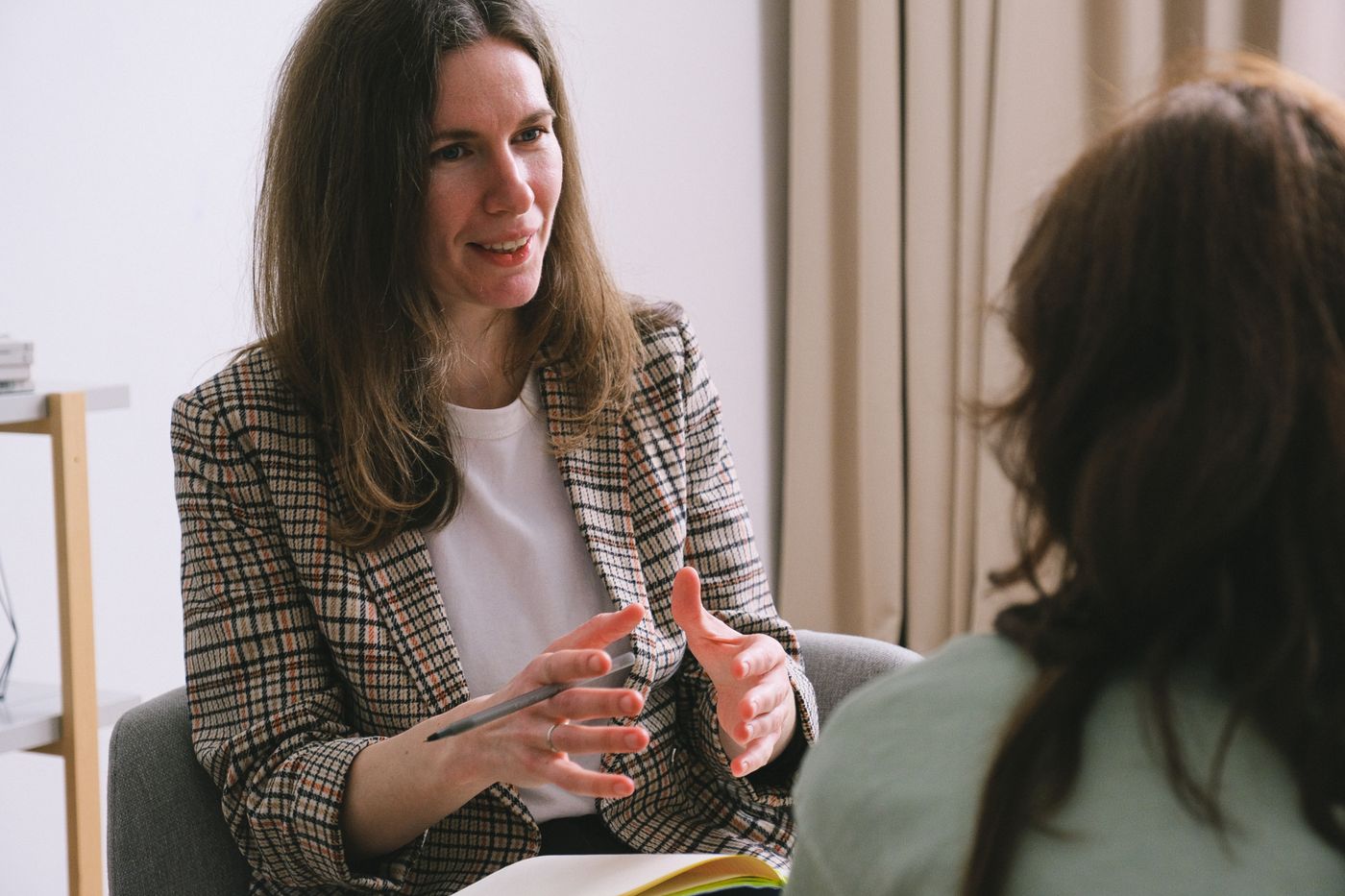 A consultant discussing an investment opportunity with a client